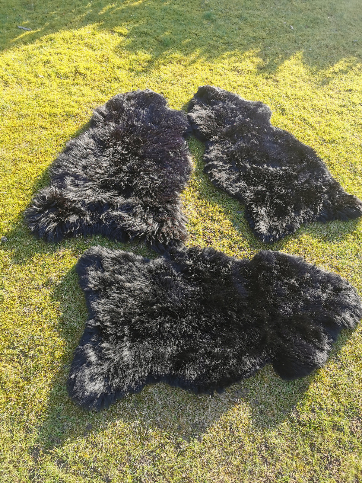 Merino Premium hides in NATURAL Black/Dark Brown