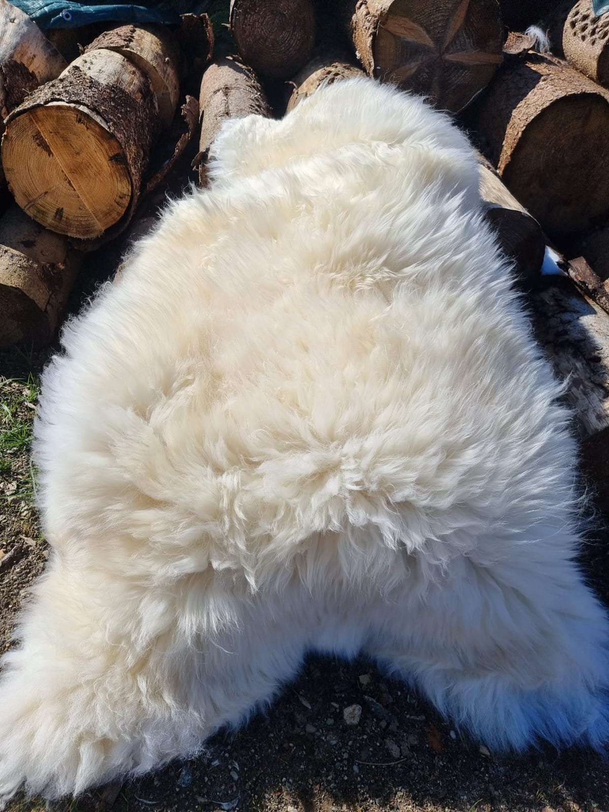 XXXL Schaffell Naturweiß - Riesenfell Lammfell ab 140 cm