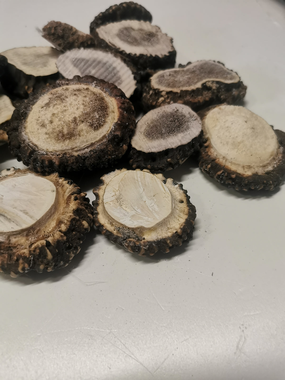 Antler roses, antler rosettes, bussn, crowns, handmade, natural beauty, unique, wall decoration, accessory, ethically sourced antler.
