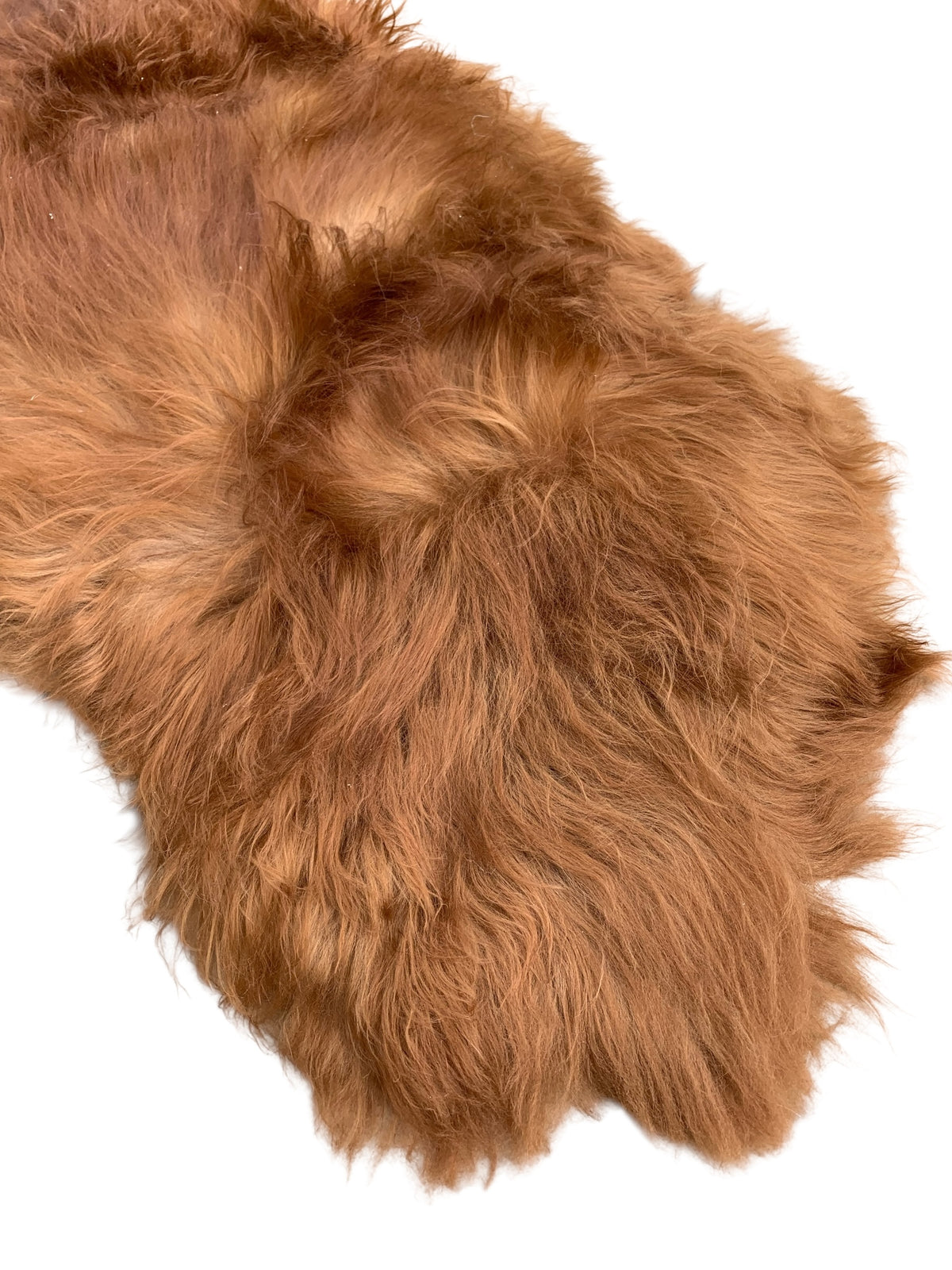 Schaffell 140 cm Ginger / Gold-Braun - Echtes XXL Lammfell, Feltteppich & Sitzauflage