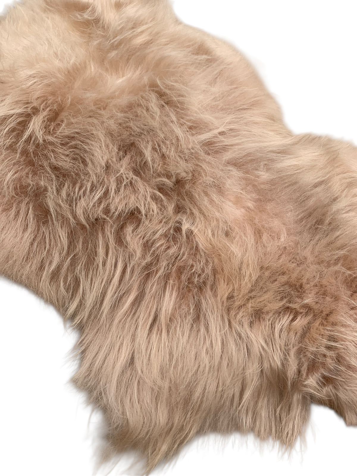 Schaffell 140 cm Beige - Echtes XXL Lammfell, Feltteppich & Sitzauflage