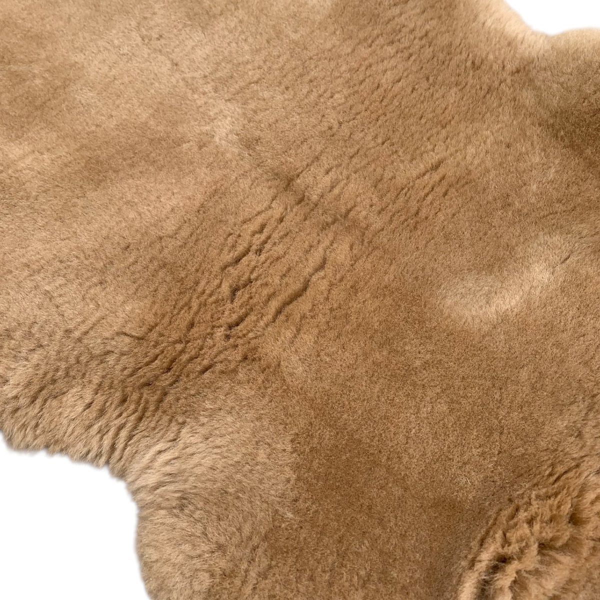 Schaffell 140 cm Beige - Echtes XXL Lammfell, Feltteppich & Sitzauflage