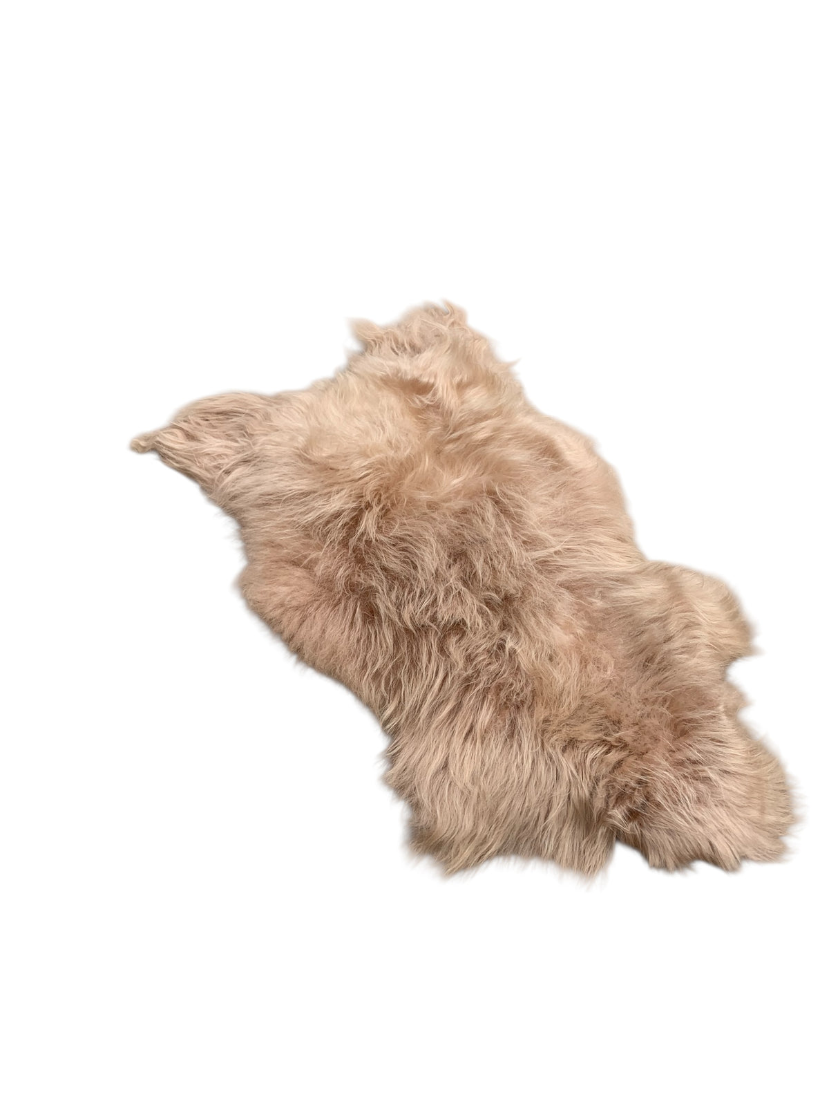 Schaffell 140 cm Beige - Echtes XXL Lammfell, Feltteppich & Sitzauflage