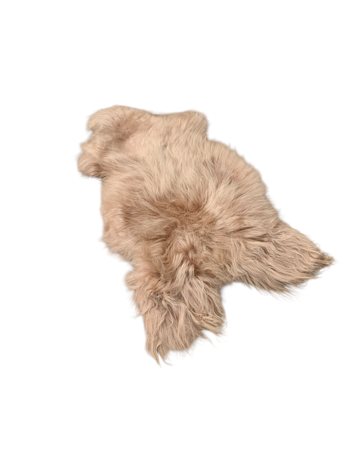 Schaffell 140 cm Beige - Echtes XXL Lammfell, Feltteppich & Sitzauflage