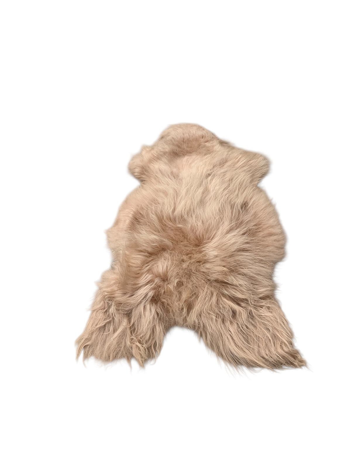 Schaffell 140 cm Beige - Echtes XXL Lammfell, Feltteppich & Sitzauflage