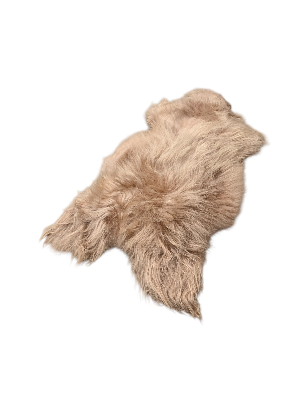 Schaffell 140 cm Beige - Echtes XXL Lammfell, Feltteppich & Sitzauflage