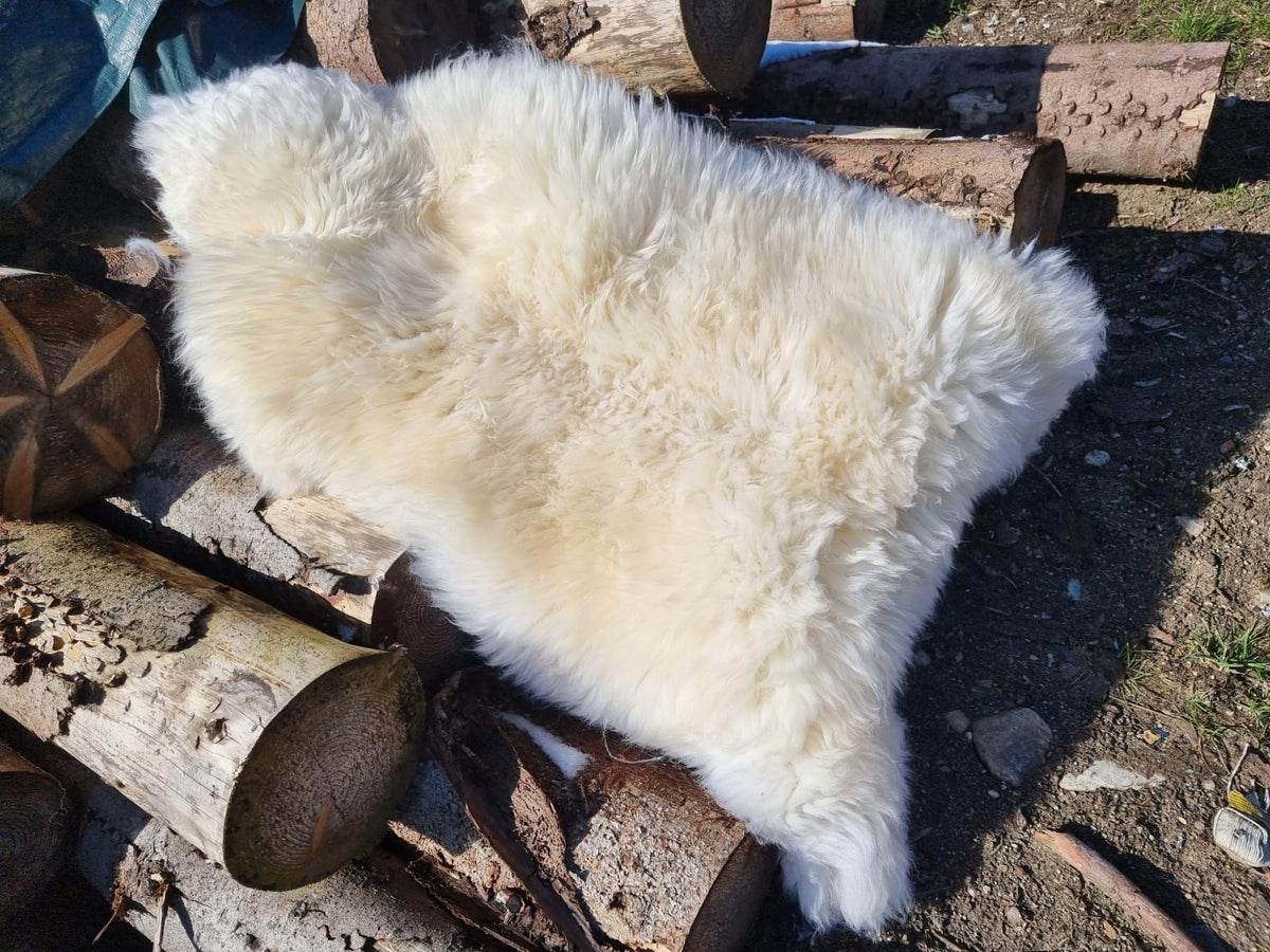 XXXL Schaffell Naturweiß - Riesenfell Lammfell ab 140 cm