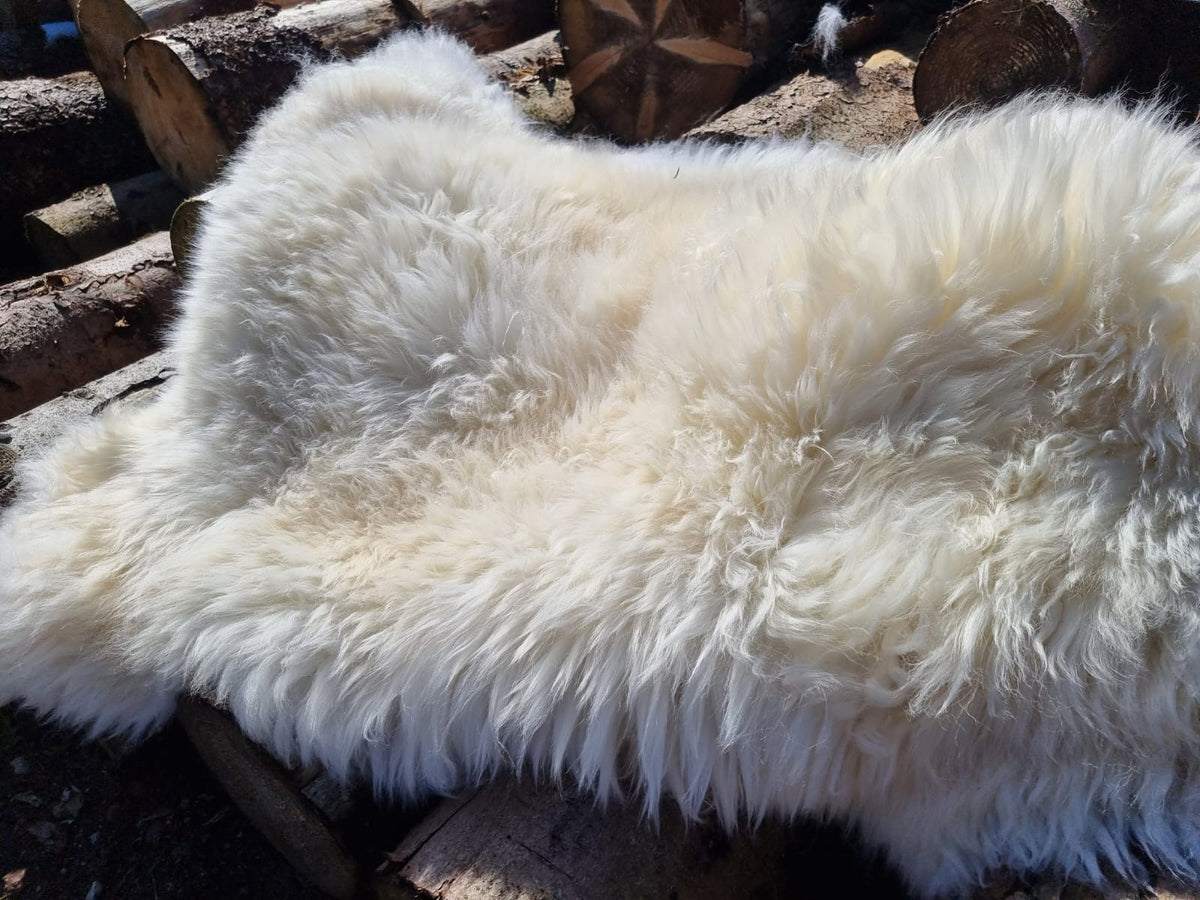 XXXL Schaffell Naturweiß - Riesenfell Lammfell ab 140 cm