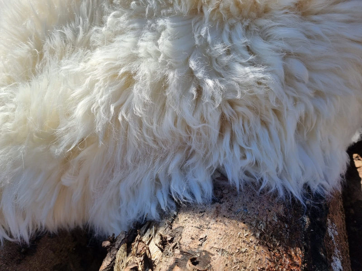 XXXL Schaffell Naturweiß - Riesenfell Lammfell ab 140 cm