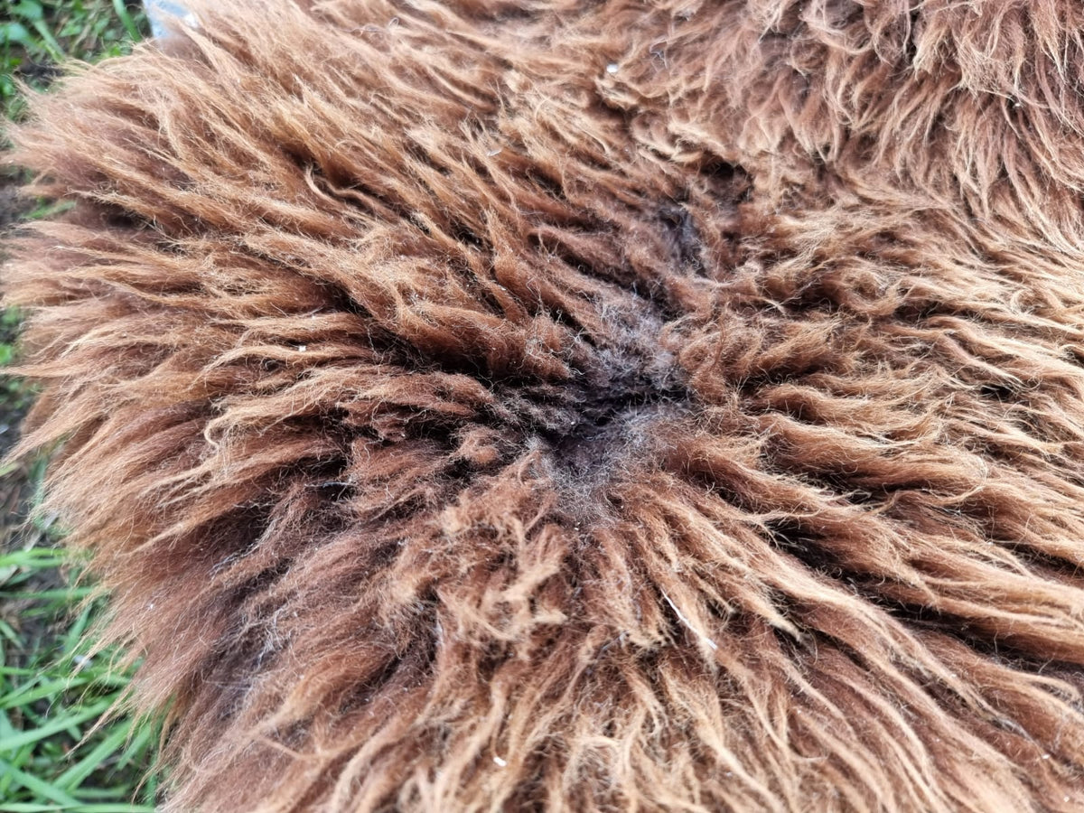 Natural Brown B Sheepskins