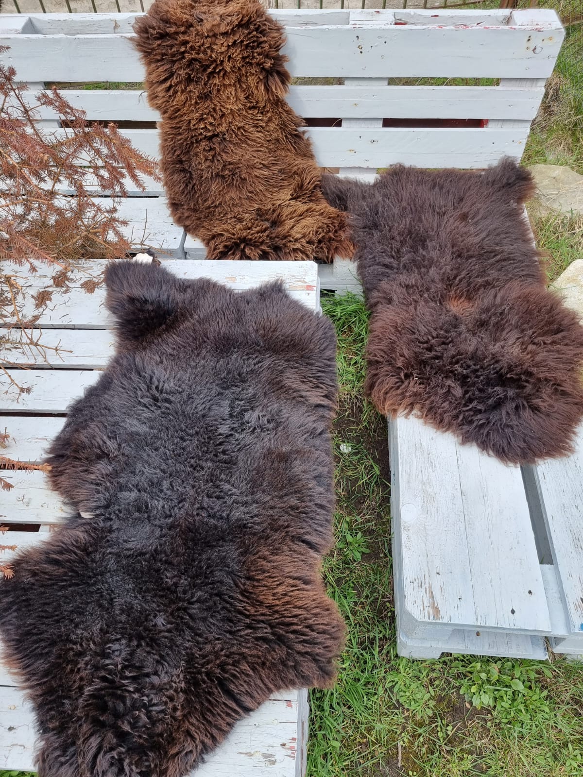 Natural Brown B Sheepskins
