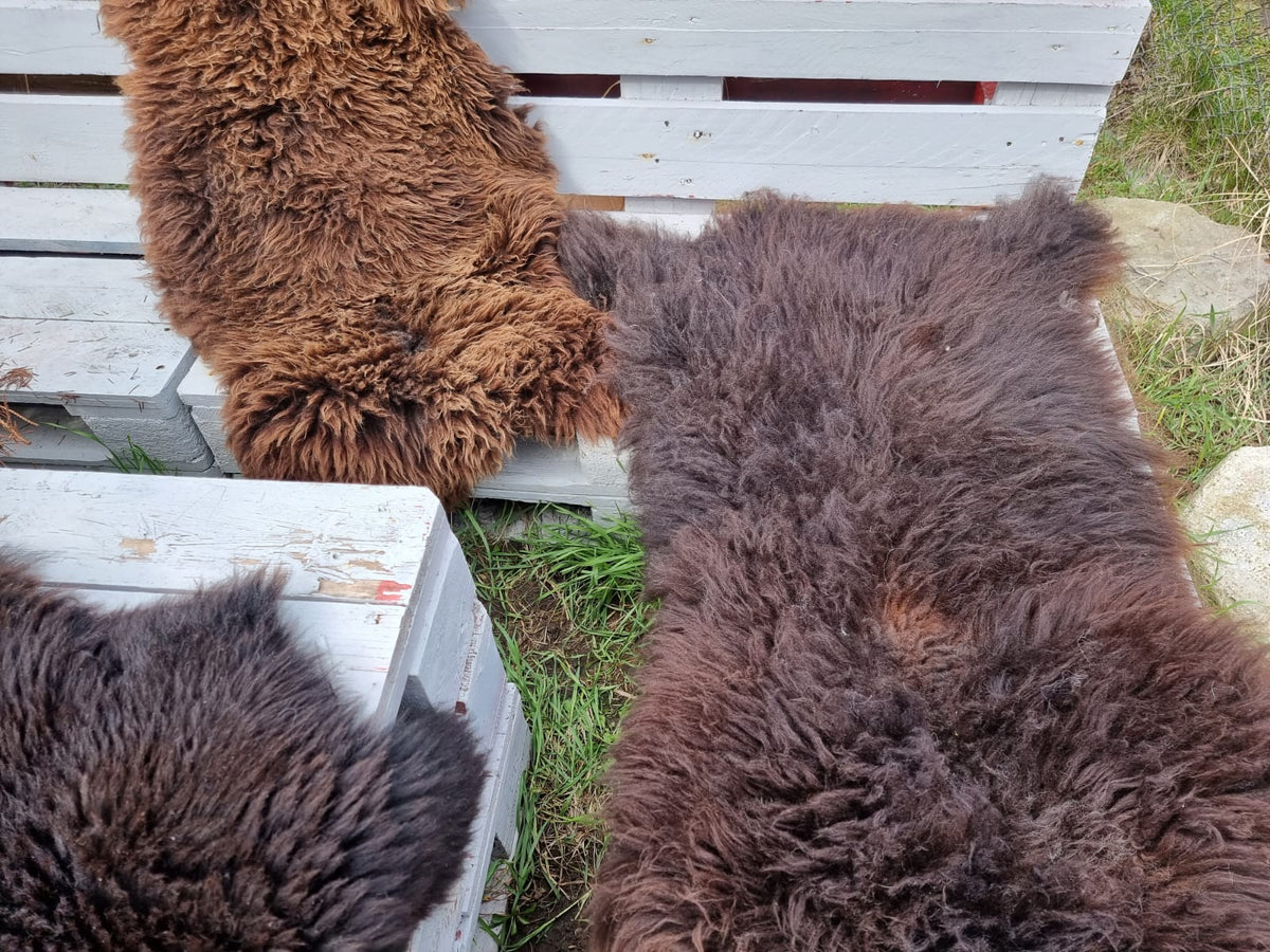 Natural Brown B Sheepskins