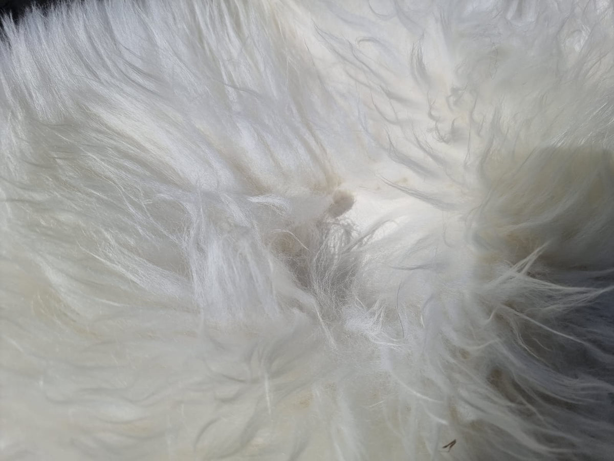 Natural White B Sheepskins