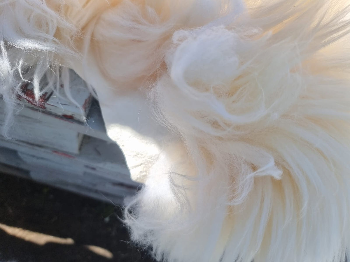 Natural White B Sheepskins