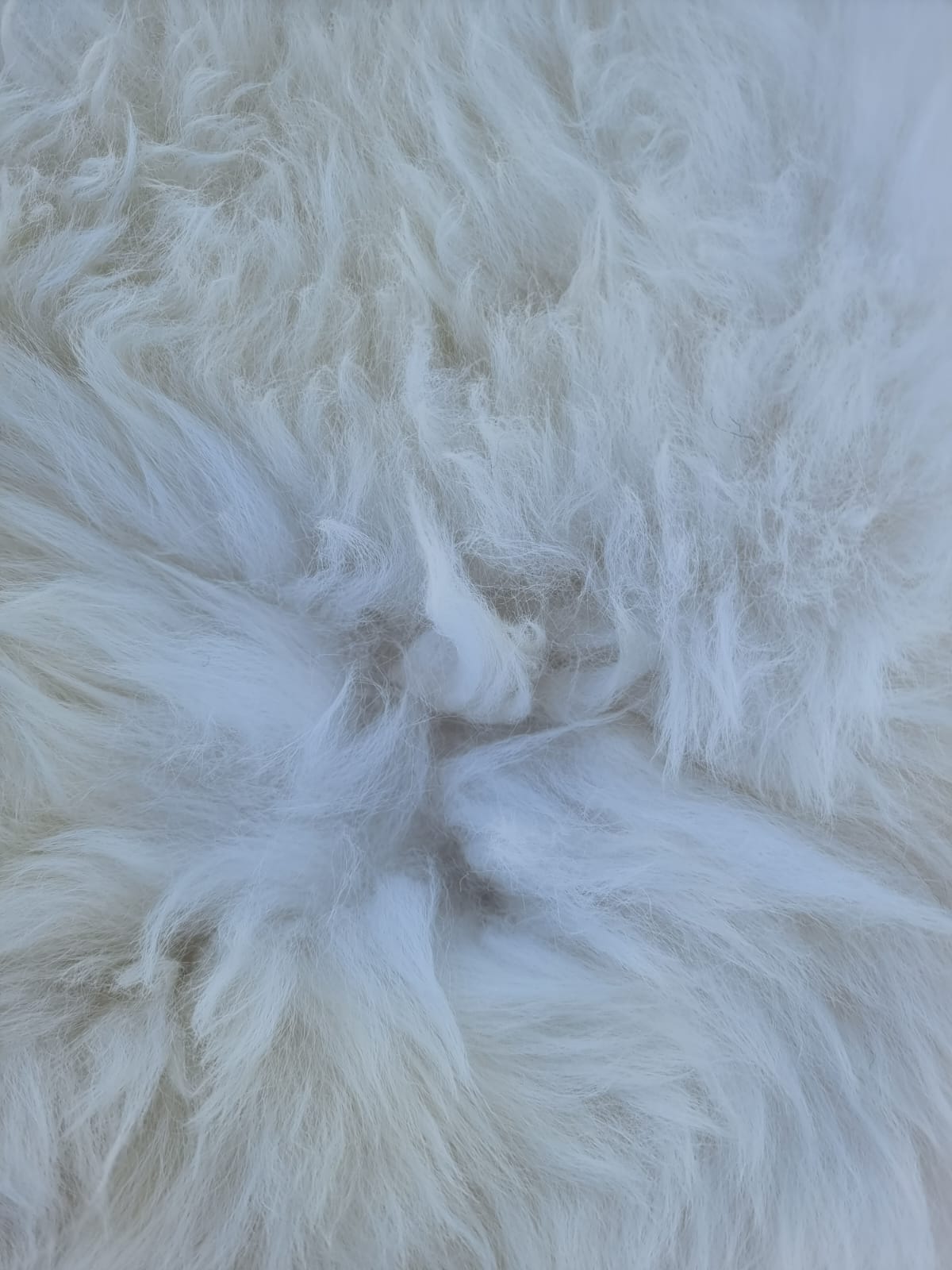 Natural White B Sheepskins