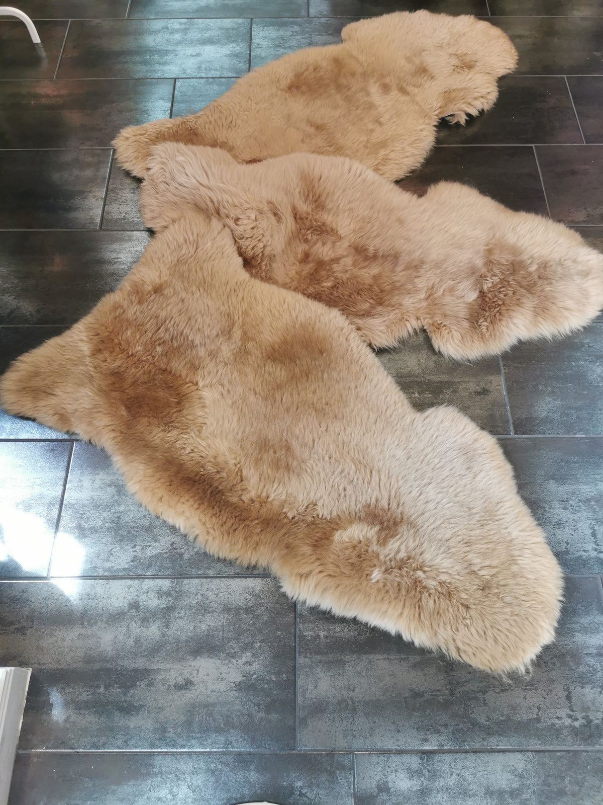 Merino Premium hides in light brown