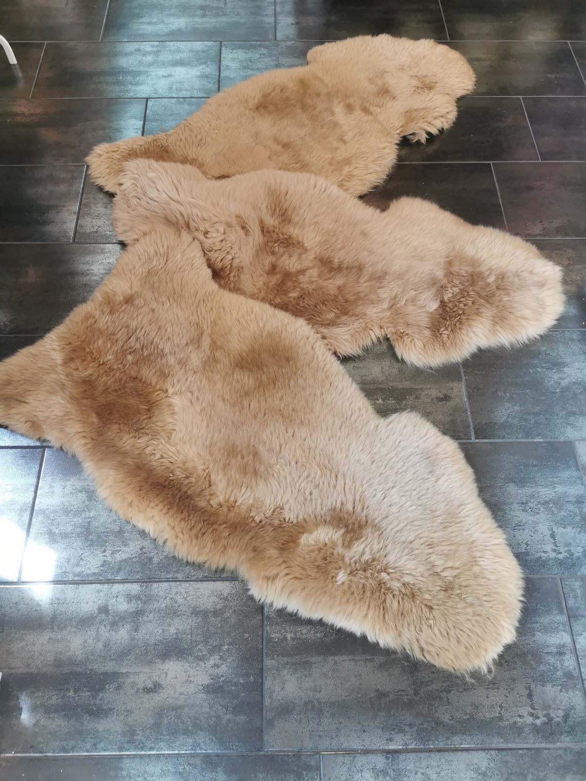 Merino Premium hides in NATURAL White