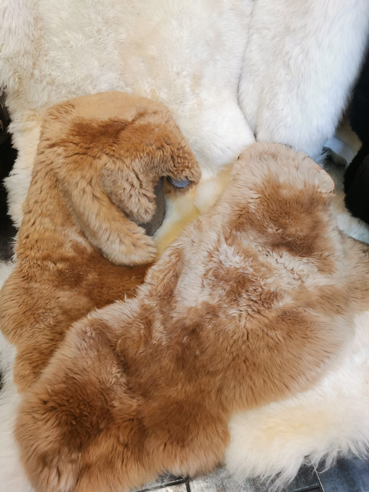 Merino Premium hides in NATURAL White
