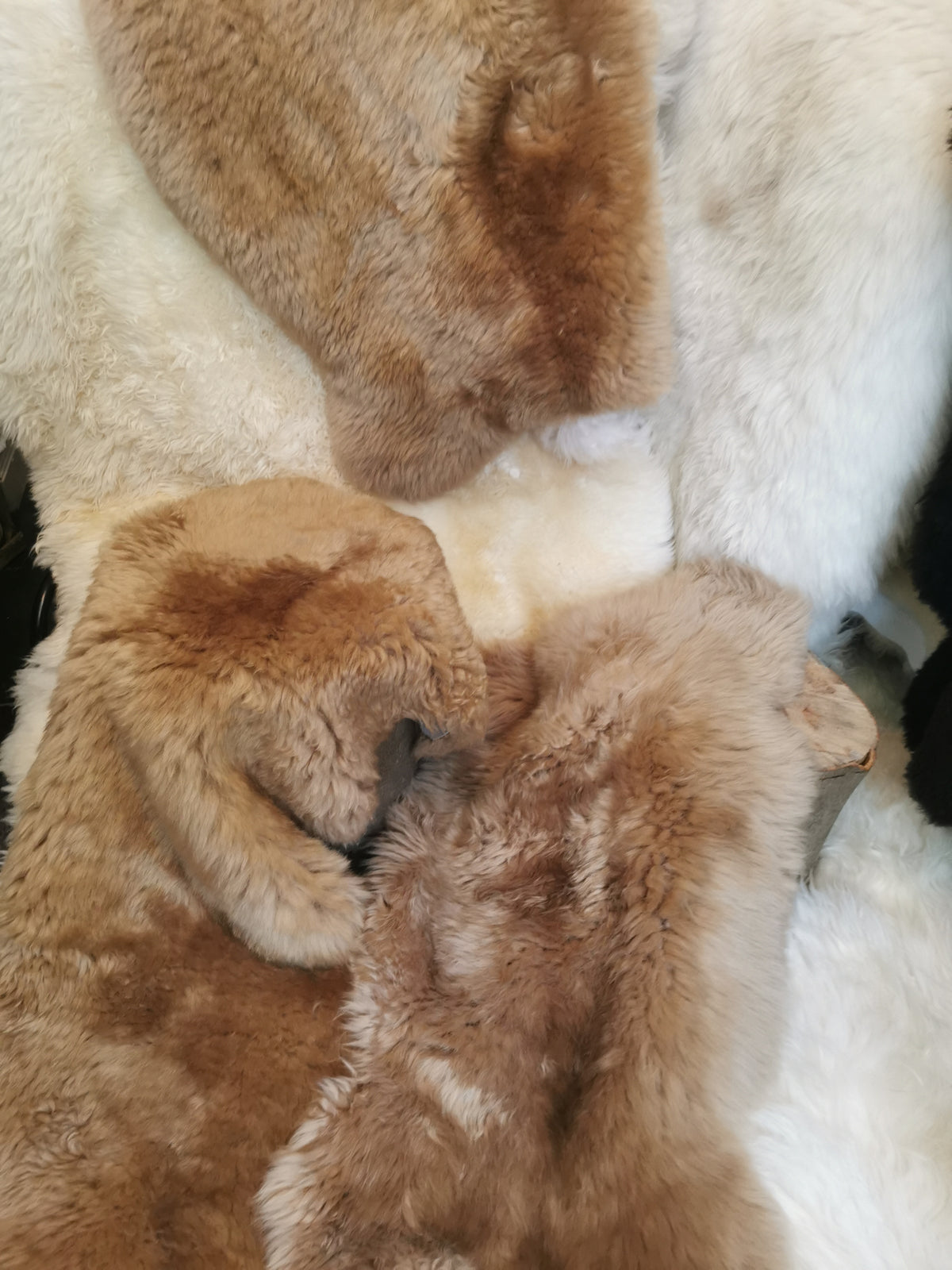 Merino Premium hides in NATURAL White