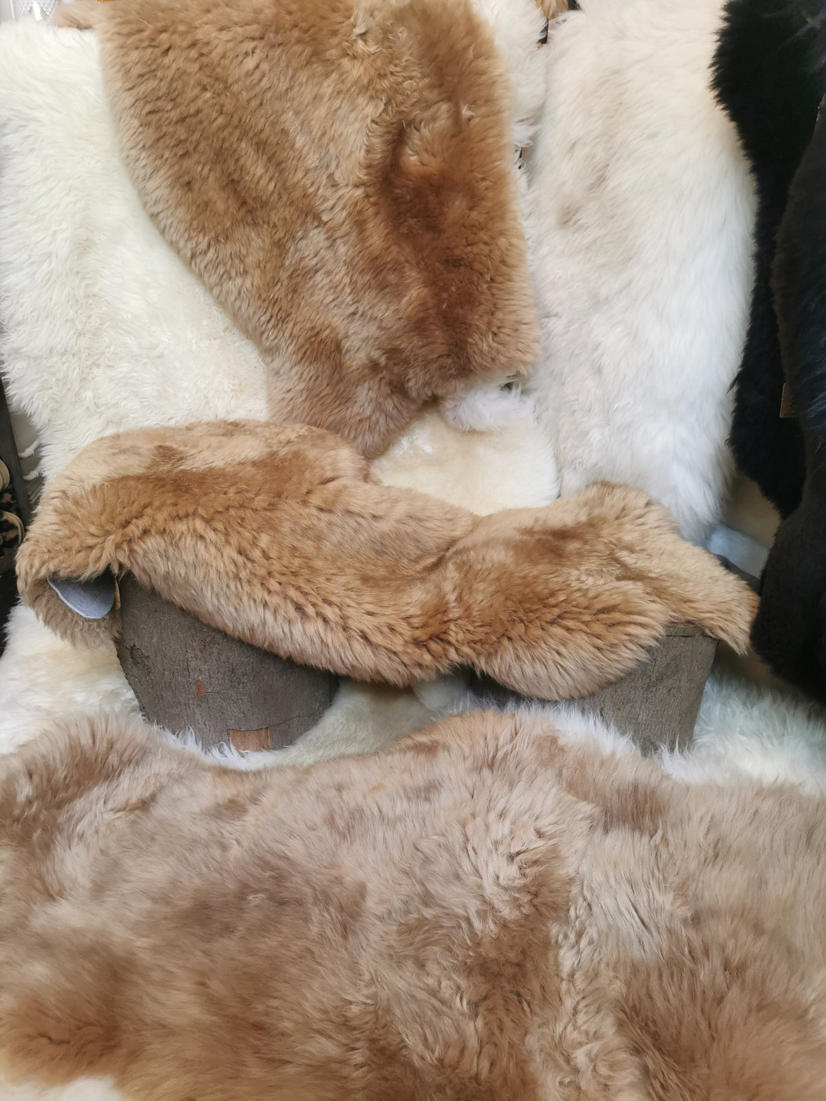 Merino Premium hides in light brown