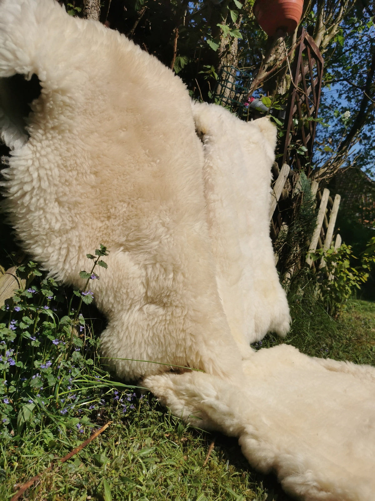 Merino Schaffell Natur Weiß - Premium Lammfell mit dichter Wolle 80-130 cm