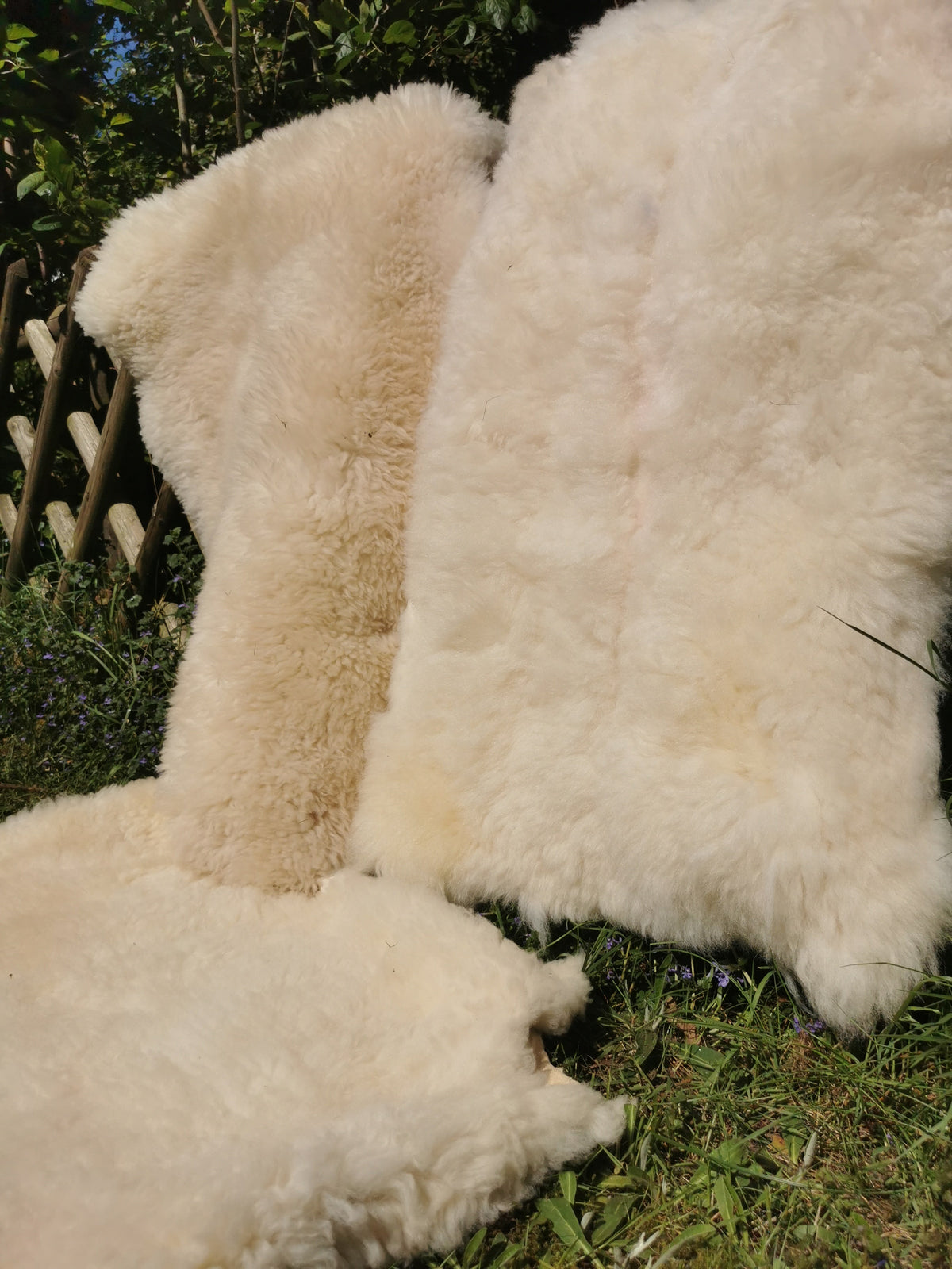 Merino Schaffell Natur Weiß - Premium Lammfell mit dichter Wolle 80-130 cm