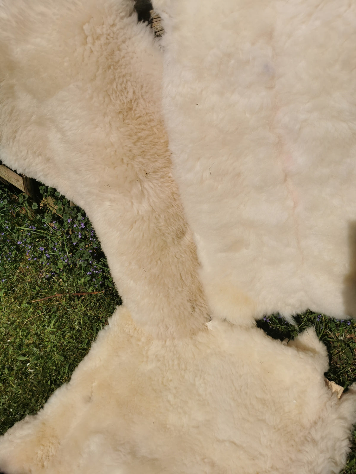 Merino Premium hides in NATURAL White
