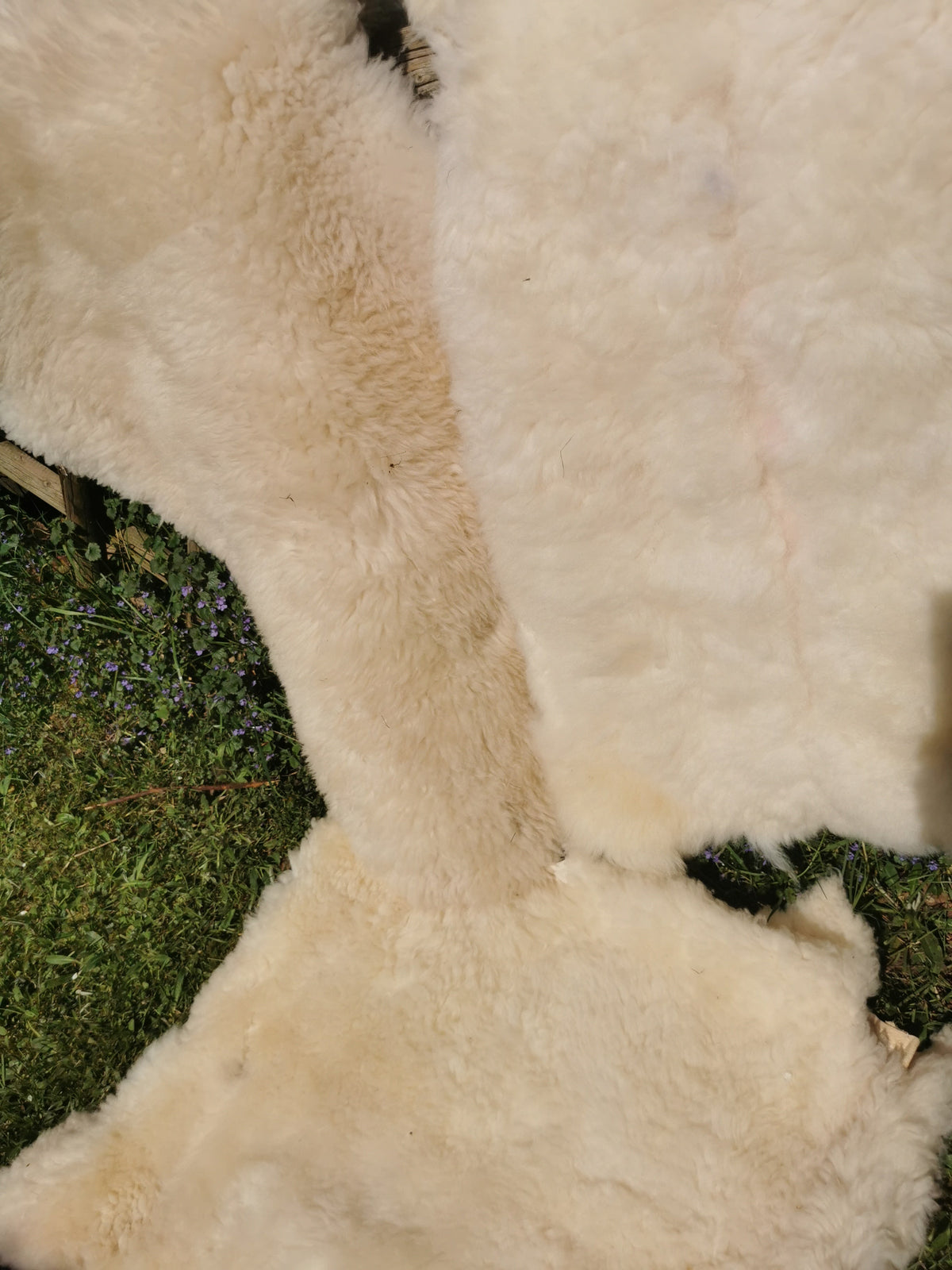 Merino Schaffell Natur Weiß - Premium Lammfell mit dichter Wolle 80-130 cm