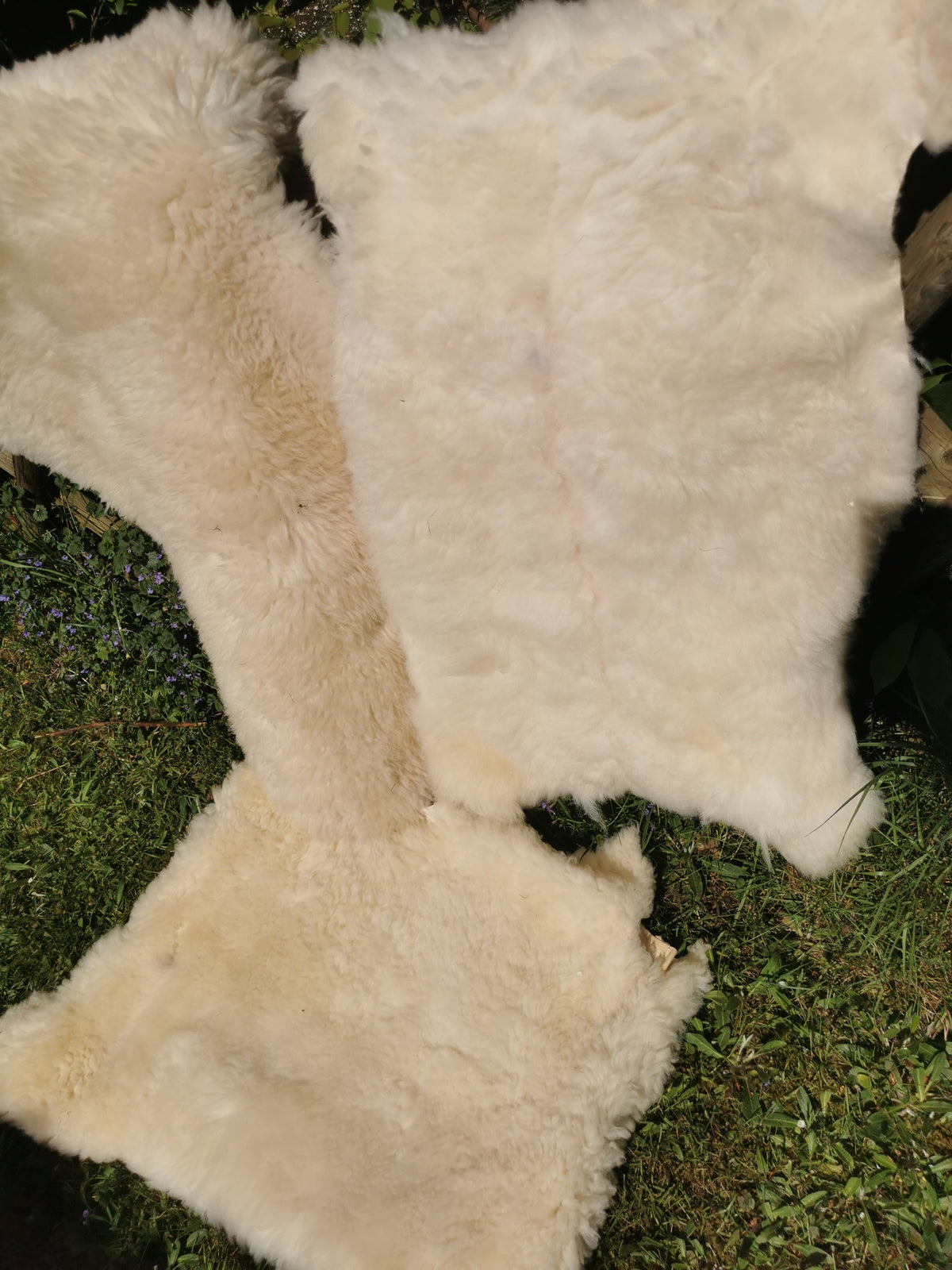 Merino Schaffell Natur Weiß - Premium Lammfell mit dichter Wolle 80-130 cm