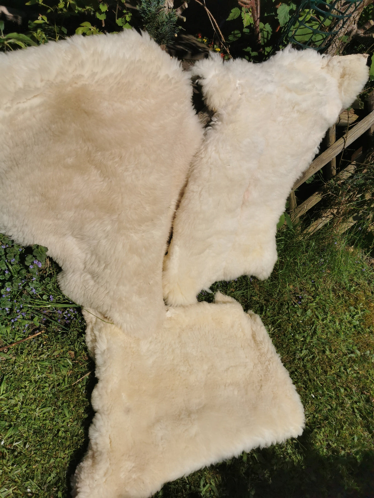 Merino Schaffell Natur Weiß - Premium Lammfell mit dichter Wolle 80-130 cm