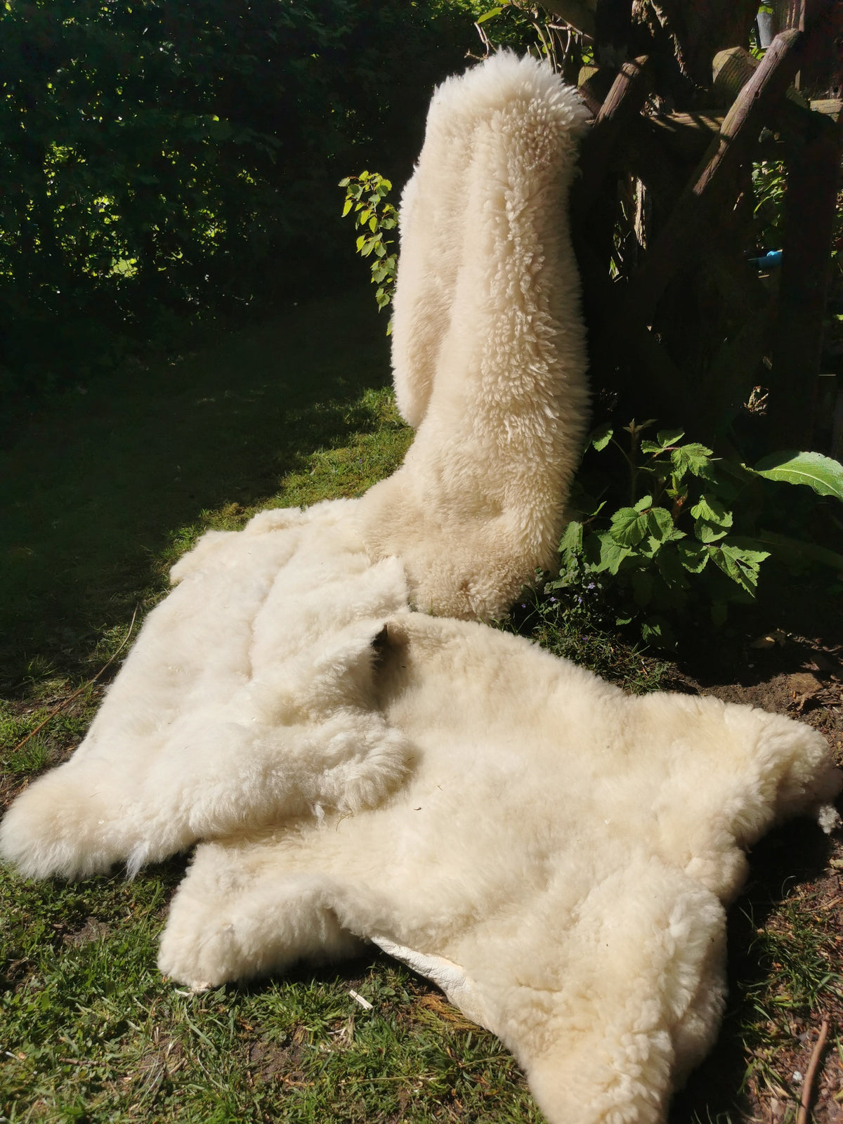 Merino Schaffell Natur Weiß - Premium Lammfell mit dichter Wolle 80-130 cm