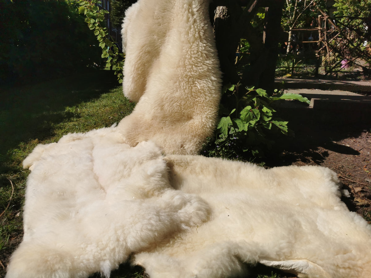 Merino Premium hides in NATURAL White