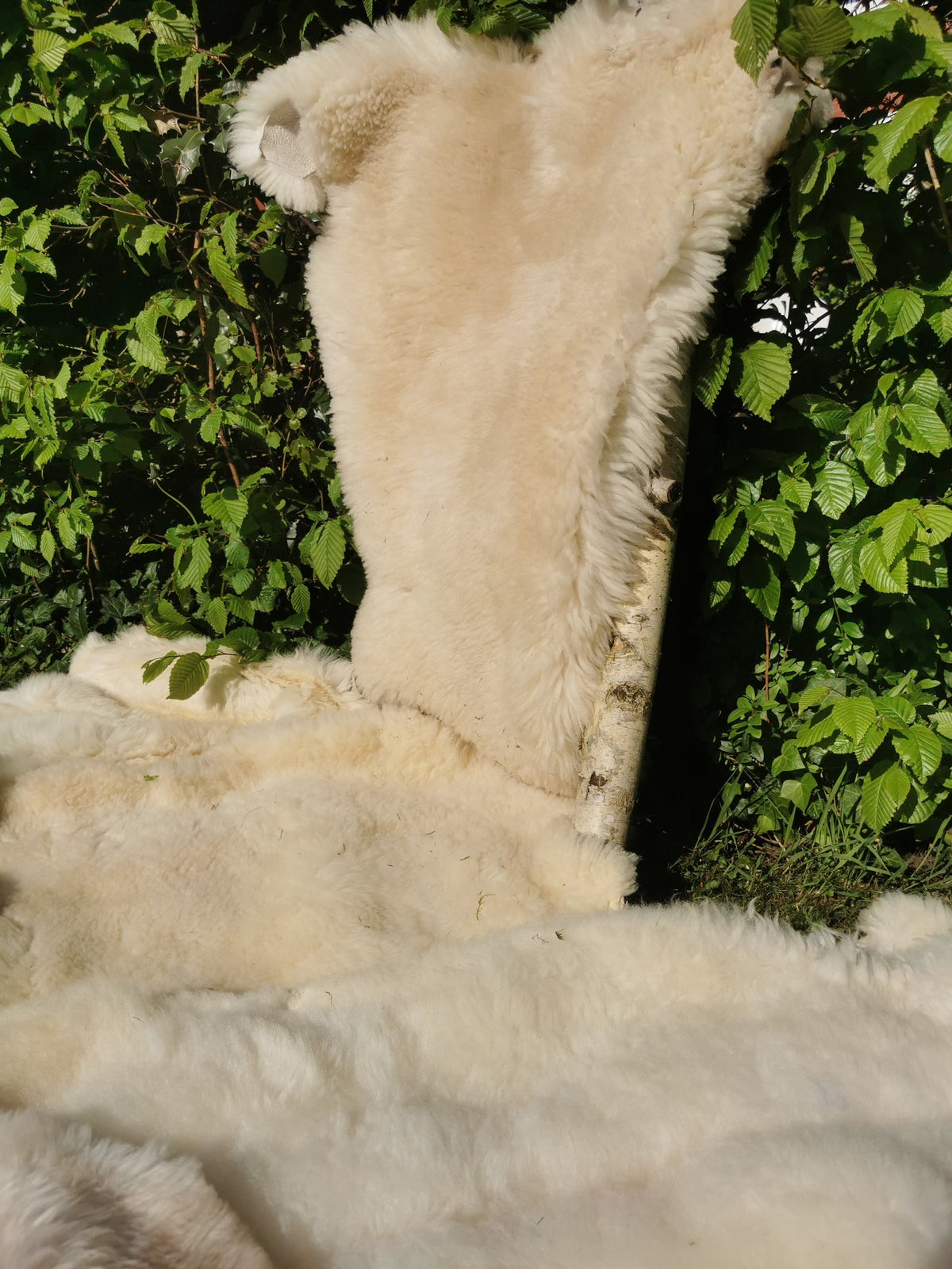 Merino Schaffell Natur Weiß - Premium Lammfell mit dichter Wolle 80-130 cm
