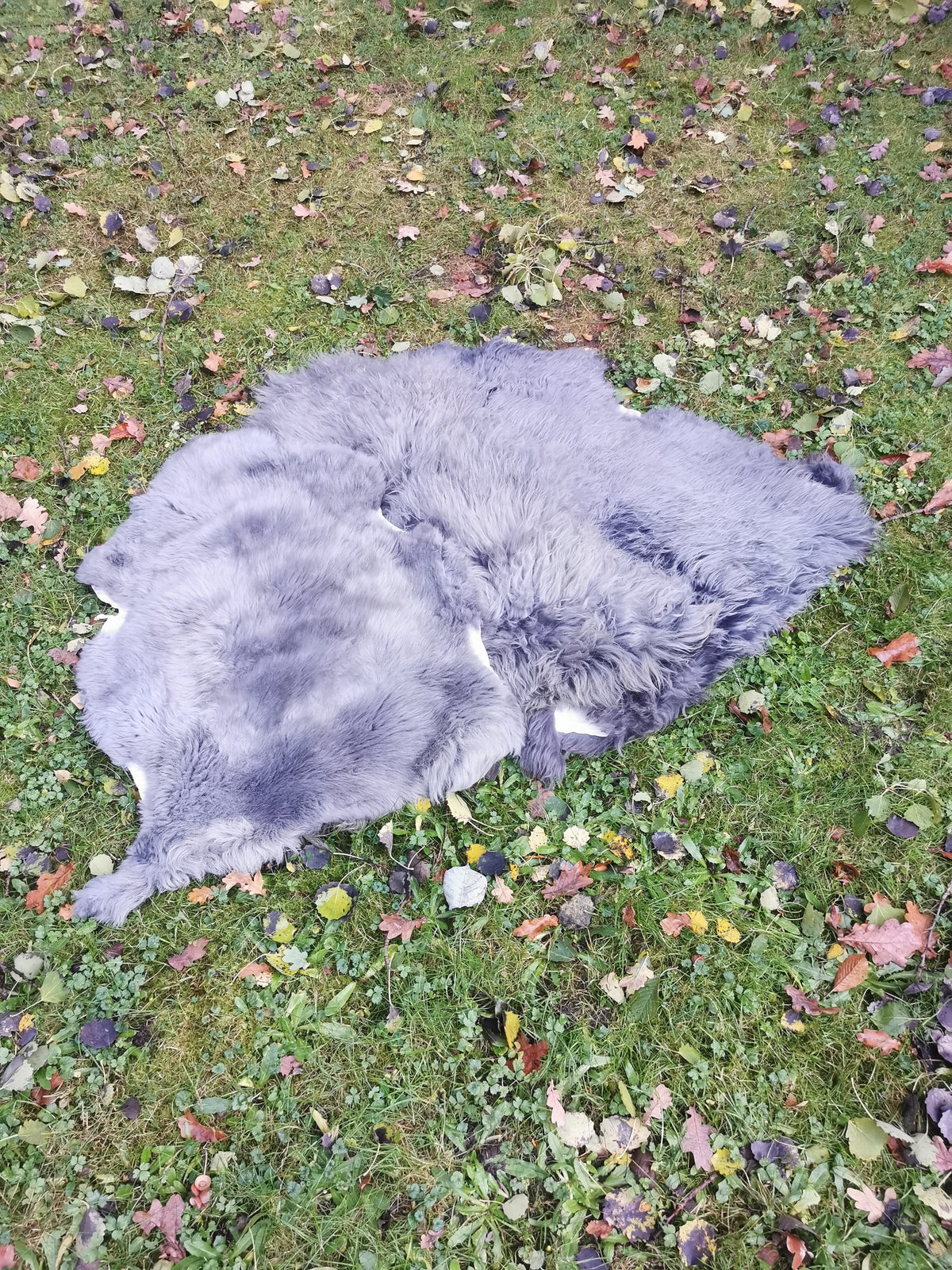 XXL Merino Schaffell Grau - Premium Lammfell mit dichter Wolle 80-130 cm