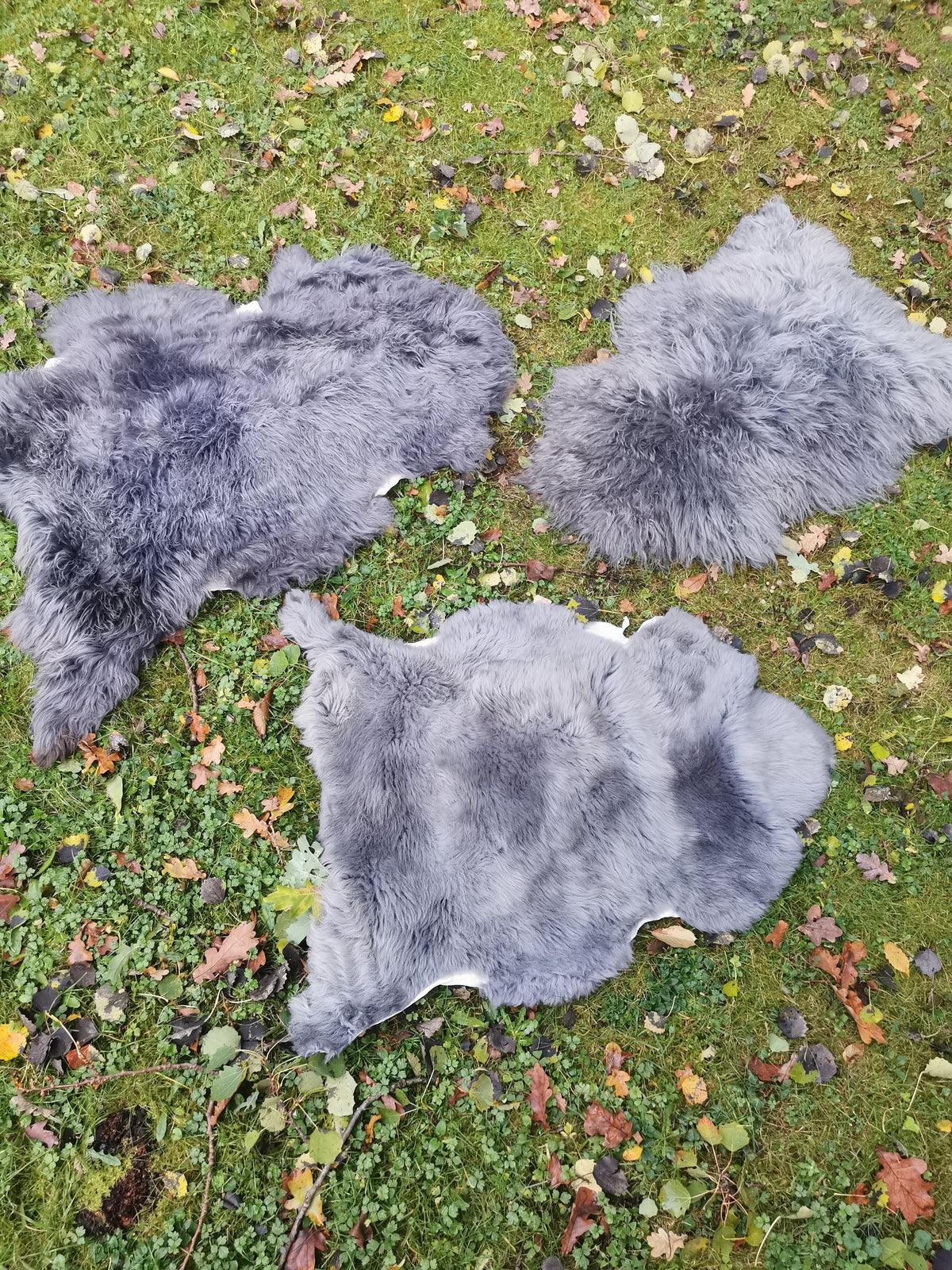 XXL Merino Schaffell Grau - Premium Lammfell mit dichter Wolle 80-130 cm