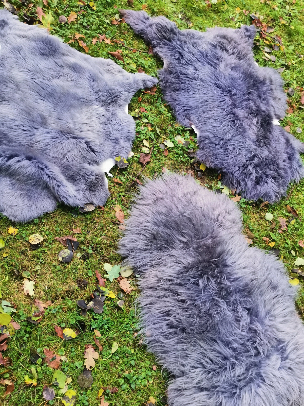 XXL Merino Schaffell Grau - Premium Lammfell mit dichter Wolle 80-130 cm