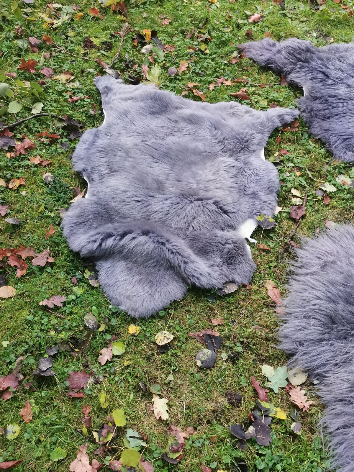 XXL Merino Schaffell Grau - Premium Lammfell mit dichter Wolle 80-130 cm