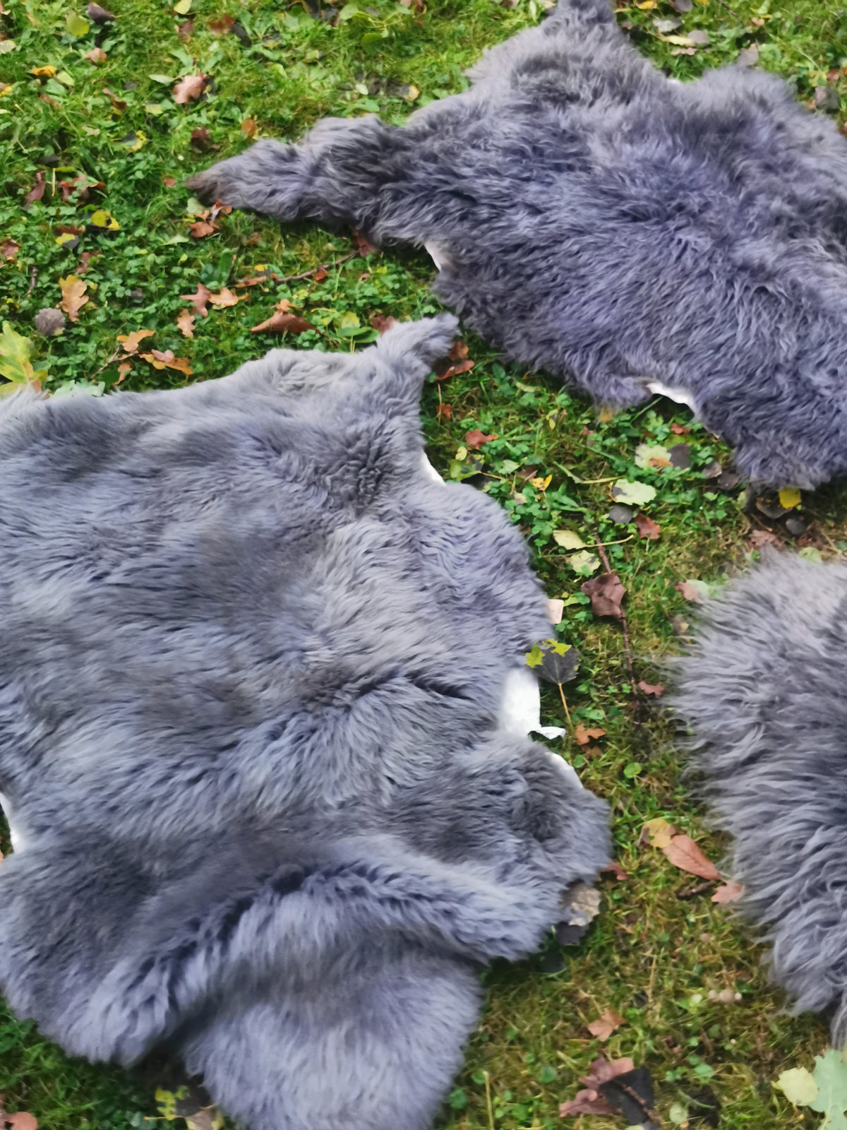 XXL Merino Schaffell Grau - Premium Lammfell mit dichter Wolle 80-130 cm