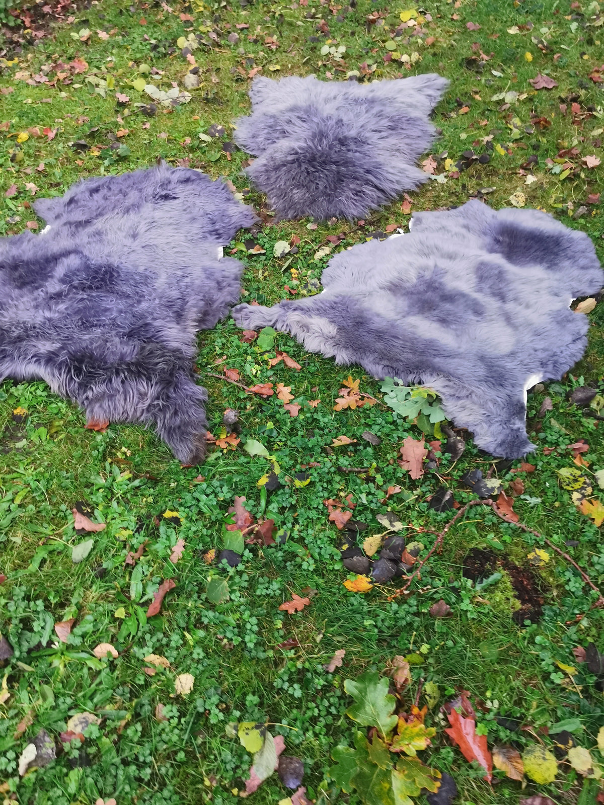 XXL Merino Schaffell Grau - Premium Lammfell mit dichter Wolle 80-130 cm