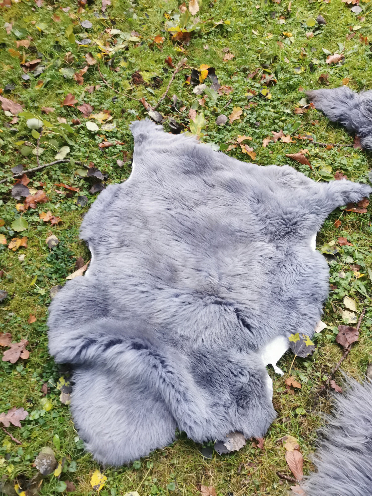 XXL Merino Schaffell Grau - Premium Lammfell mit dichter Wolle 80-130 cm