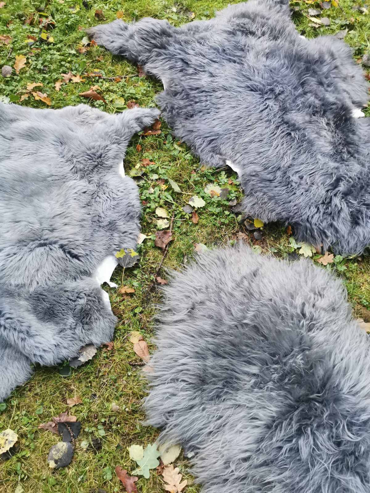 XXL Merino Schaffell Grau - Premium Lammfell mit dichter Wolle 80-130 cm
