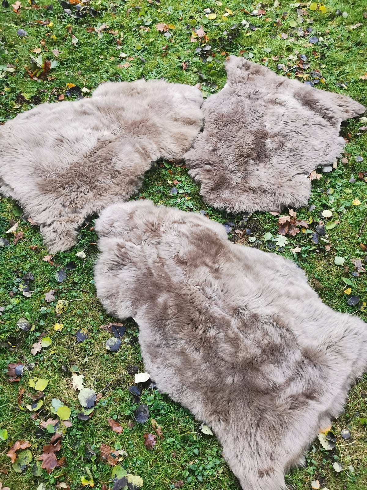 Merino Schaffell Taupe - Premium Lammfell mit dichter Wolle 80-130 cm