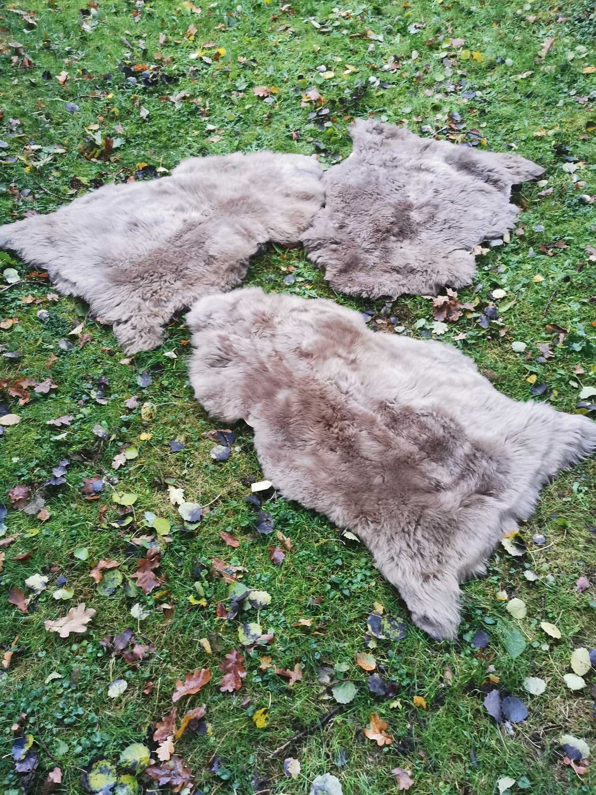 Merino Schaffell Taupe - Premium Lammfell mit dichter Wolle 80-130 cm