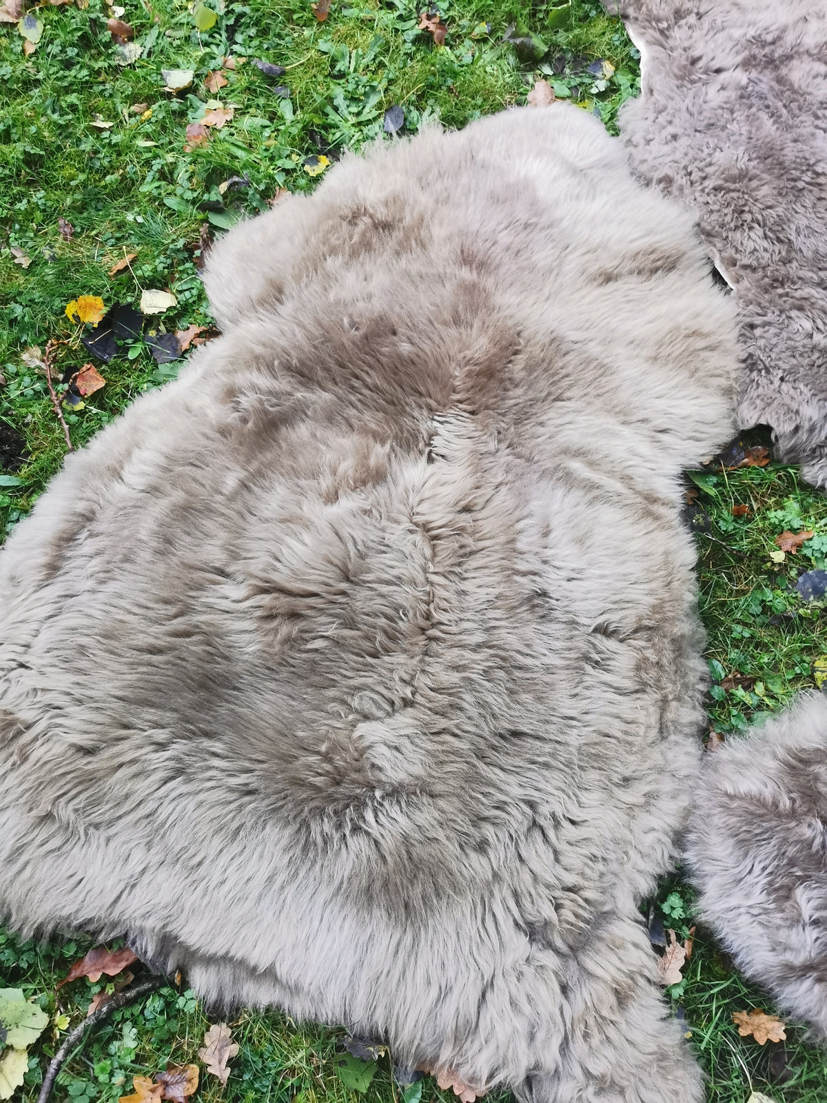 Merino Premium hides in NATURAL White