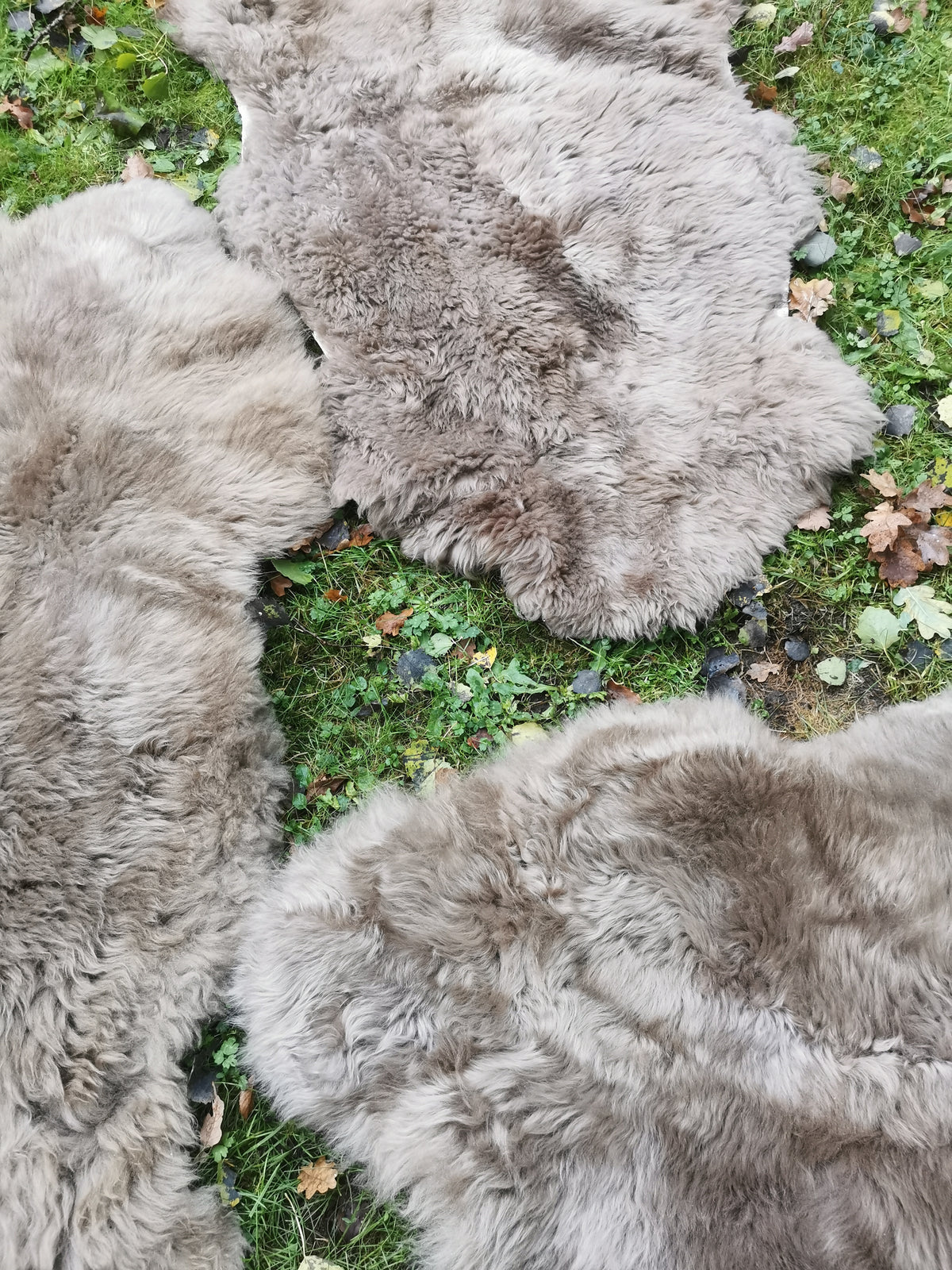 Merino Schaffell Taupe - Premium Lammfell mit dichter Wolle 80-130 cm