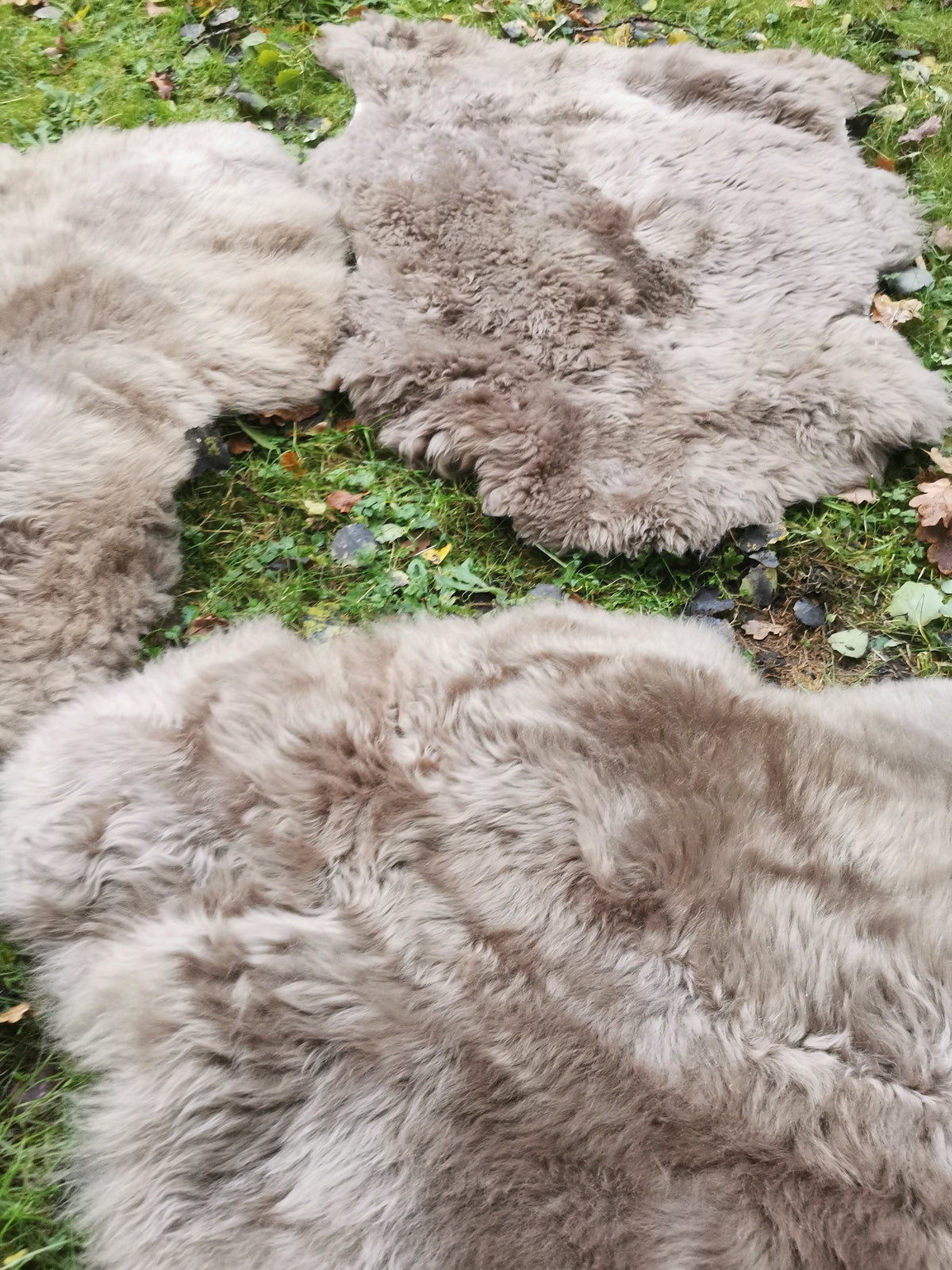 Merino Schaffell Taupe - Premium Lammfell mit dichter Wolle 80-130 cm