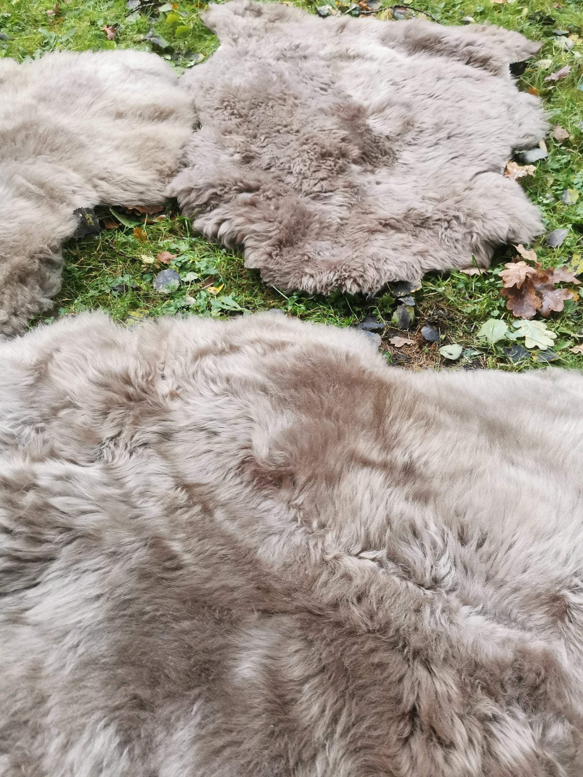 Merino Premium hides in NATURAL White