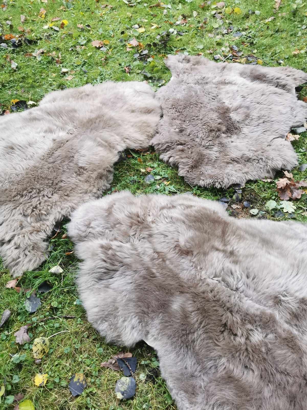 Merino Premium hides in NATURAL White