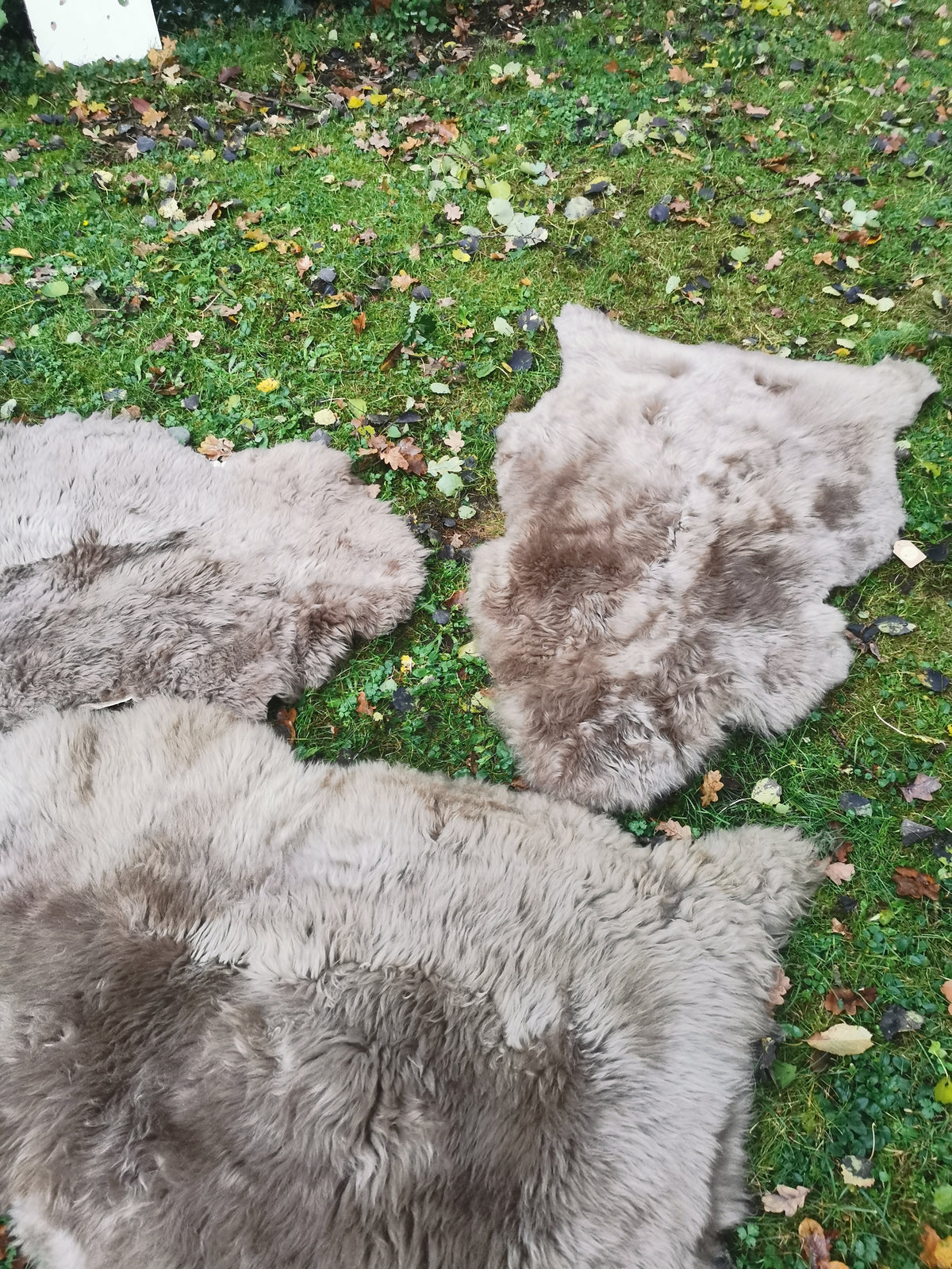 Merino Schaffell Taupe - Premium Lammfell mit dichter Wolle 80-130 cm