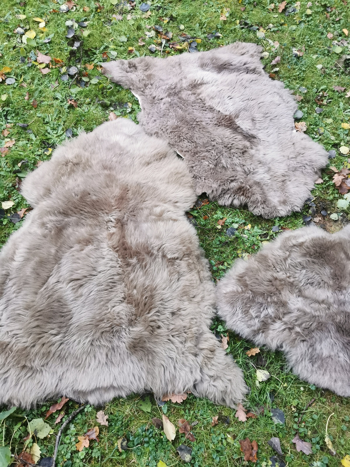 Merino Premium hides in NATURAL White